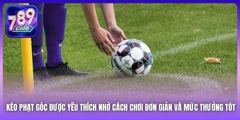 Kèo phạt góc được yêu thích nhờ cách chơi đơn giản và mức thưởng tốt