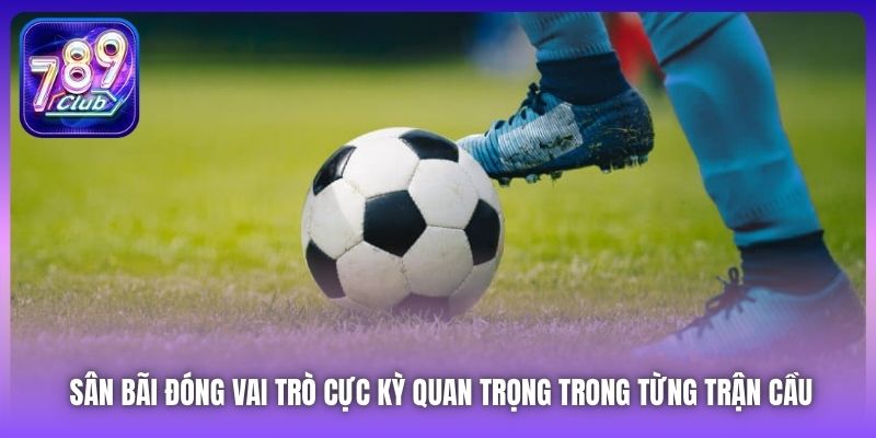 Sân bãi đóng vai trò cực kỳ quan trọng trong từng trận cầu